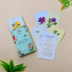 The Everyday Apothecary Deck – 55 Herb Cards for Rituals, Spells, and Manifestation