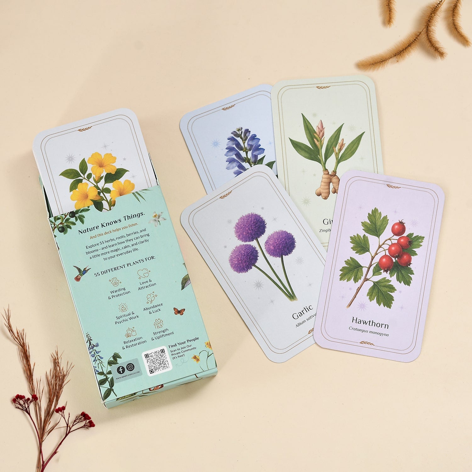 The Everyday Apothecary Deck – 55 Herb Cards for Rituals, Spells, and Manifestation