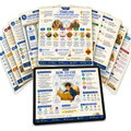 The Catechism Map, 69 visual maps